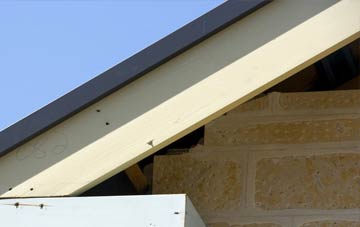 Pentre Llwyn Llwyd fascia repairs