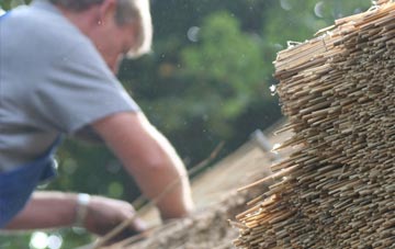 professional Pentre Llwyn Llwyd thatchers